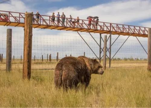 day trips from denver
